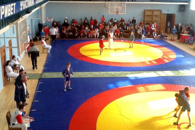 открытое Первенство города Рыбинска по самбо, посвященное памяти Мастера спорта СССР Н.В. Ролевича