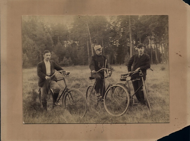 В Ярославской области заработал виртуальный музей  &laquo;Народный спорт&raquo;