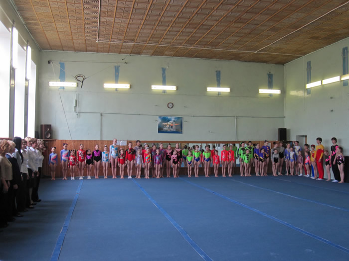 Открытый Кубок Ярославской области по акробатике